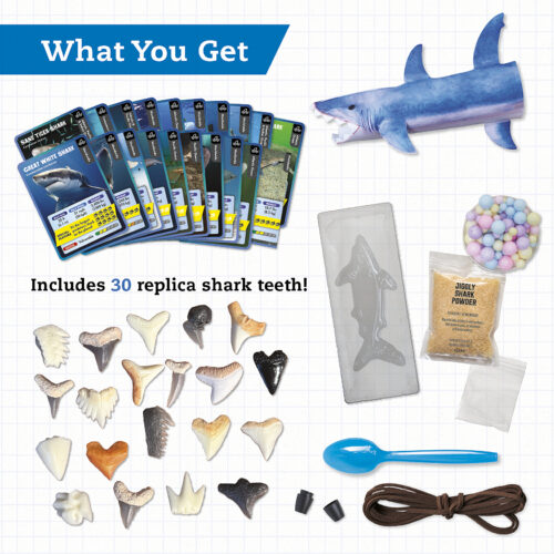 Klutz® STEAM Lab: Shark-tastic Teeth!