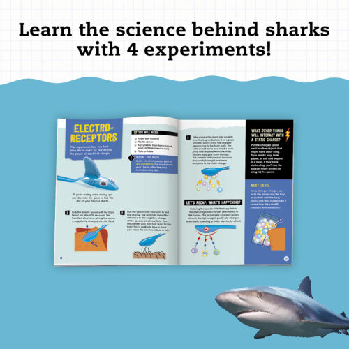 Klutz® STEAM Lab: Shark-tastic Teeth!
