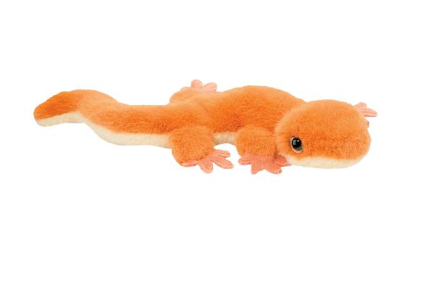 Douglas Sam Salamander